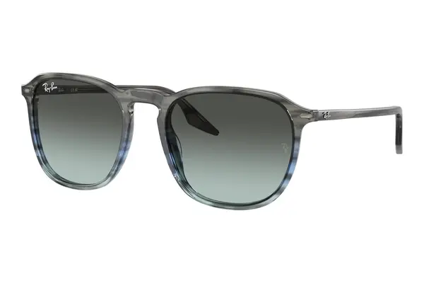 Ray-Ban RB2203 1391GK