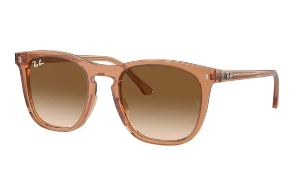 Ray-Ban RB2210 676451