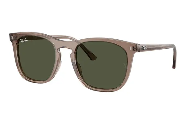 Ray-Ban RB2210 845731