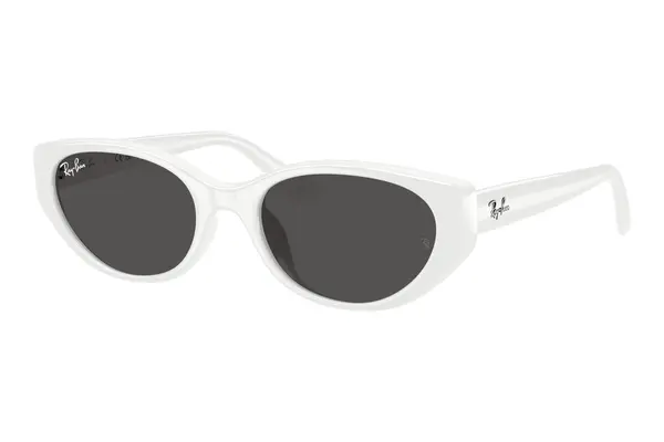 Ray-Ban RB4457D 677287