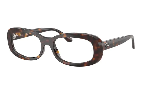 Ray-Ban RX2221V 2012
