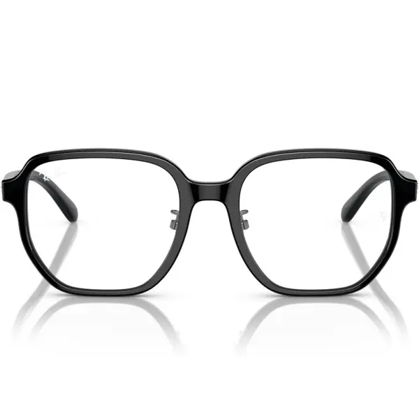 Ray-Ban RX5424D 2000 54