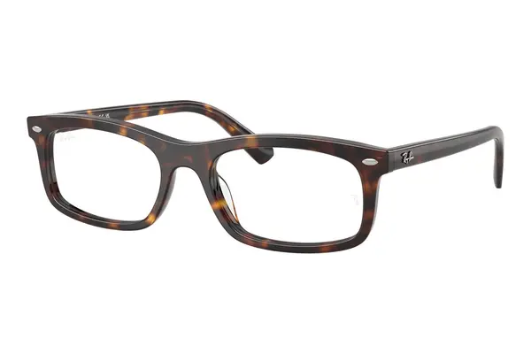 Ray-Ban RX5450 2012