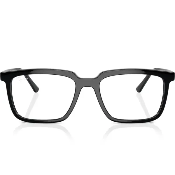 Ray-Ban RX7239 2000 54 ALAIN