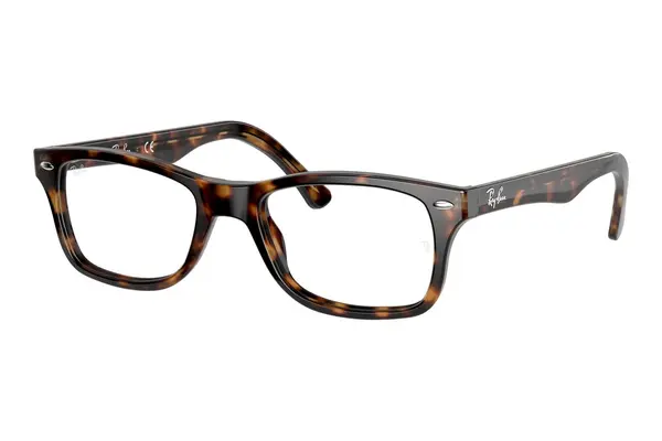 Ray-Ban The Timeless RX5228 2012