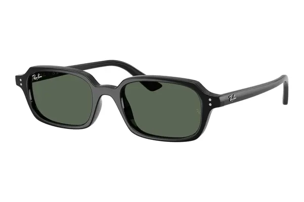 Ray-Ban Zuri RB4455 667771