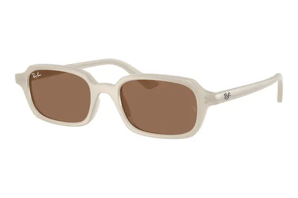 Ray-Ban Zuri RB4455 680873
