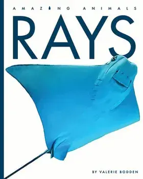 Rays, Paperback/Valerie Bodden