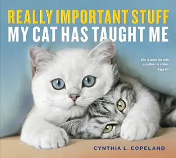 Really Important Stuff My Cat Has Taught Me, Paperback/Cynthia L. Copeland