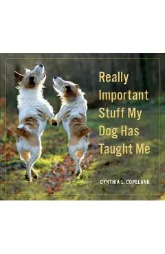 Really Important Stuff My Dog Has Taught Me