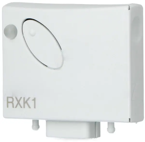 Receptor King Gates RXK1