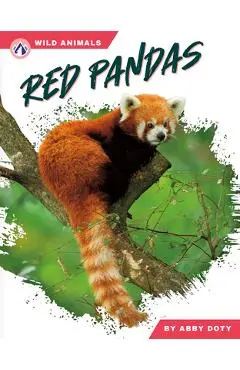 Red Pandas - Abby Doty