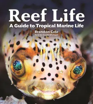 Reef Life. A Guide to Tropical Marine Life, Paperback/Michael Scott