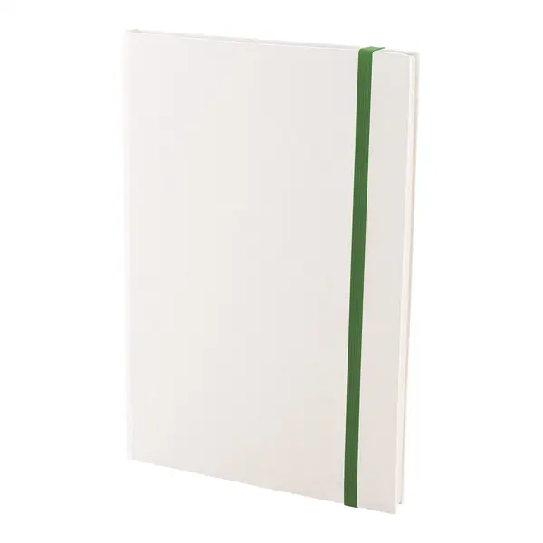 Relact Note Agendă din carton reciclat al cutiilor de lapte - verde