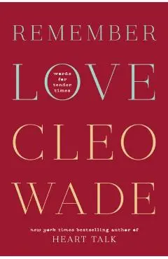 Remember Love: Words for Tender Times - Cleo Wade