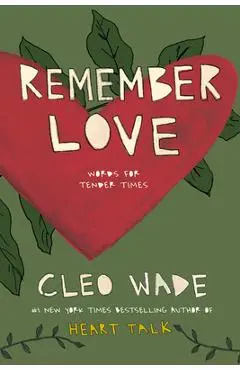 Remember Love: Words for Tender Times - Cleo Wade