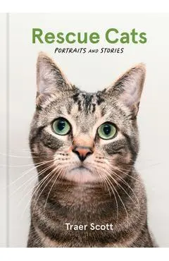 Rescue Cats: Portraits and Stories - Traer Scott