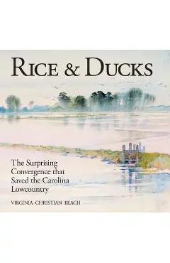 Rice & Ducks: The Surprising Convergence That Saved the Carolina Lowcountry - Virginia Beach