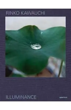 Rinko Kawauchi: Illuminance: The Tenth Anniversary Edition - Rinko Kawauchi