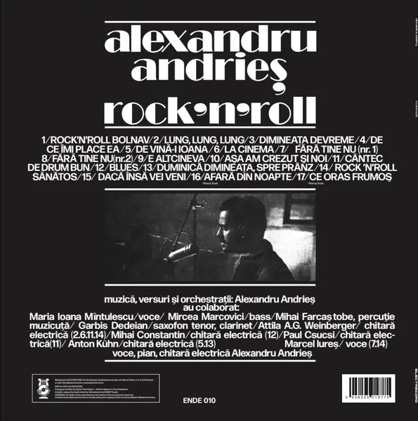 Rock'n'roll - Vinyl | Alexandru Andries
