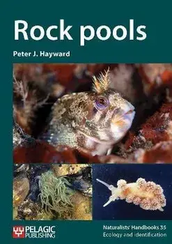 Rock pools, Paperback/Peter J. Hayward