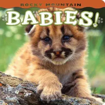 Rocky Mountain Babies!, Hardcover/Wendy Shattil