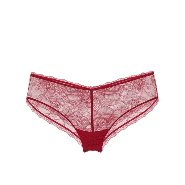 Rose lace high-leg cheeky panty - red M