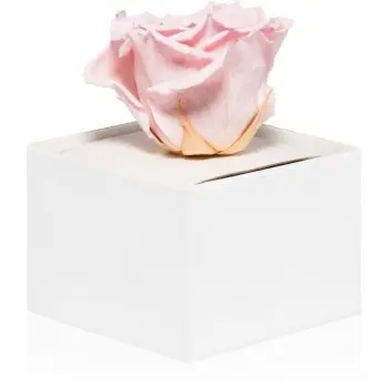 RoseAmor Pink trandafir stabilizat în cutie
