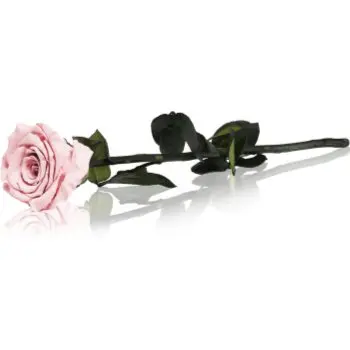 RoseAmor Pink trandafir stabilizat pe tulpină 30 cm