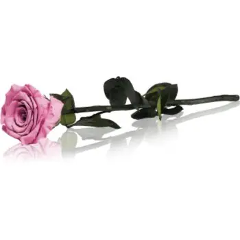 RoseAmor Pink trandafir stabilizat pe tulpină 30 cm
