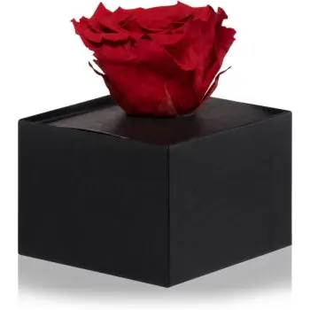 RoseAmor Red trandafir stabilizat în cutie
