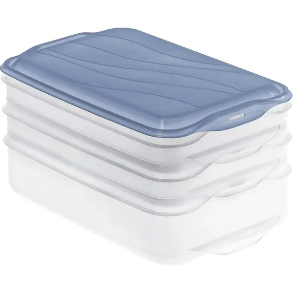 rotho Cutie de depozitare mezeluiri Rotho 1702806161, 2x0,75l, 1x1,35l, 3 parti, Albastru