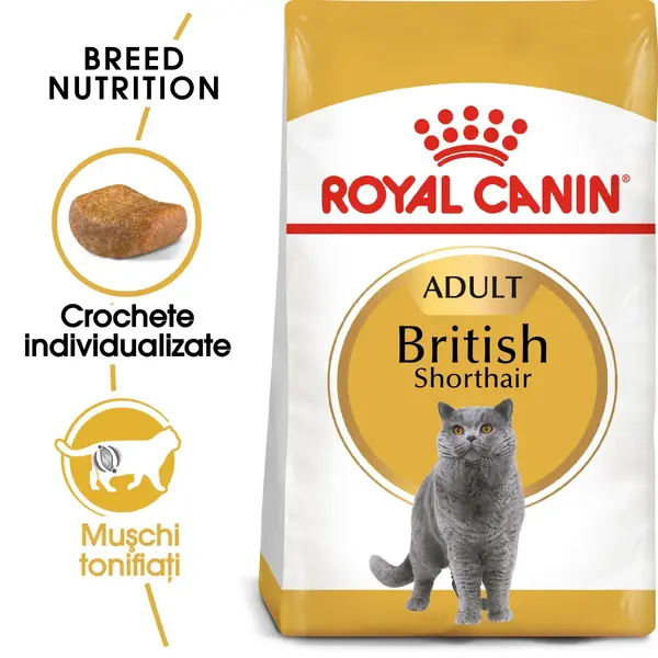 ROYAL CANIN British Shorthair Adult, hrană uscată pisici, 400g
