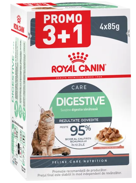 ROYAL CANIN FHN Digest Sensitive Plic pentru pisici
