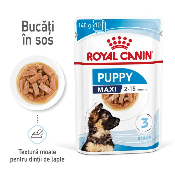 Royal Canin Maxi Puppy hrana umeda caine junior (in sos), 10 x 140 g