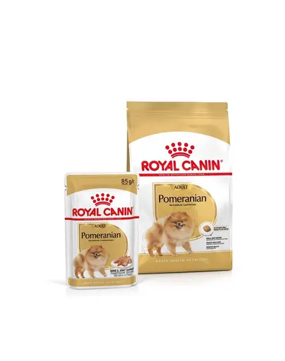 ROYAL CANIN Pomeranian Adult 1.5 kg hrană uscată pentru câini mini spitz adulți + hrană umedă 12x85g