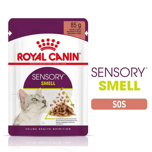 Royal Canin Sensory Smell, hrana umeda pisici, stimularea mirosului (in sos), 85 g