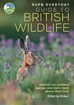 RSPB Everyday Guide to British Wildlife. Identify our common species and learn more about their lives, Paperback/Charlie Elder