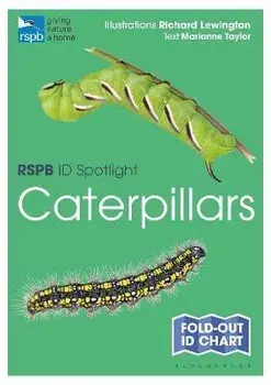 RSPB ID Spotlight - Caterpillars/Marianne Taylor