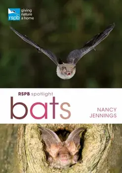 RSPB Spotlight Bats, Paperback/Nancy Jennings