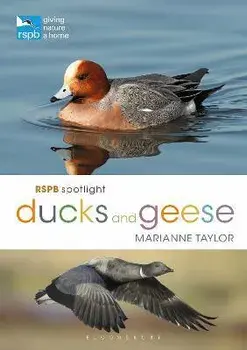 RSPB Spotlight Ducks and Geese, Paperback/Marianne Taylor