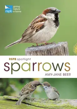 RSPB Spotlight Sparrows, Paperback/Amy-Jane Beer