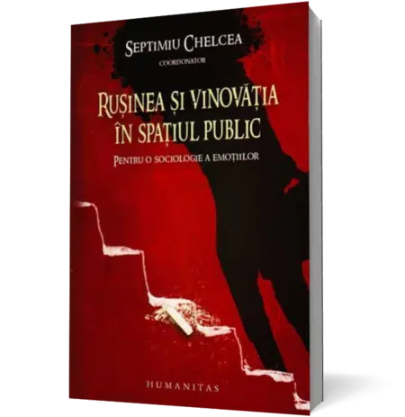 Rusinea si vinovatia in spatiu public