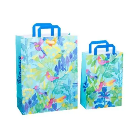 Sacosa cadou din hartie - Pasari (S - 22 x 10.5 x 32cm, 70g)
