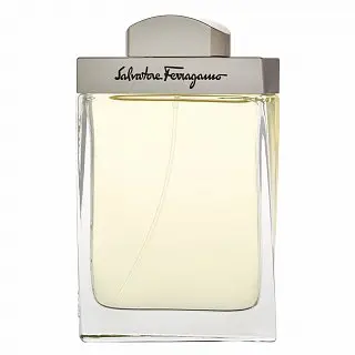 Salvatore Ferragamo Pour Homme eau de Toilette pentru barbati 100 ml