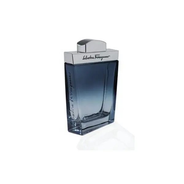 Salvatore Ferragamo Subtil parfum pentru barbati EDT Volum 100 ml
