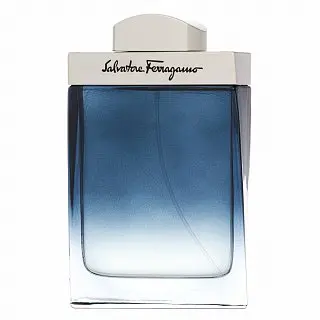 Salvatore Ferragamo Subtil Pour Homme eau de Toilette pentru barbati 100 ml