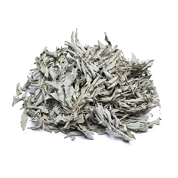 Salvie albă vrac – White Sage (Salvia Apiana) pentru purificare și ritualuri