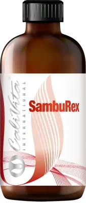SambuRex (240 ml) Soc negru, Echinacea, Astragalus si vitamina C intareste sistemul imunitar