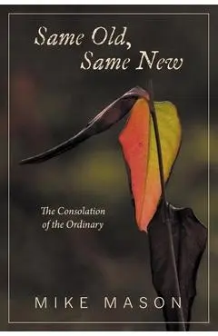 Same Old, Same New: The Consolation of the Ordinary - Mike Mason